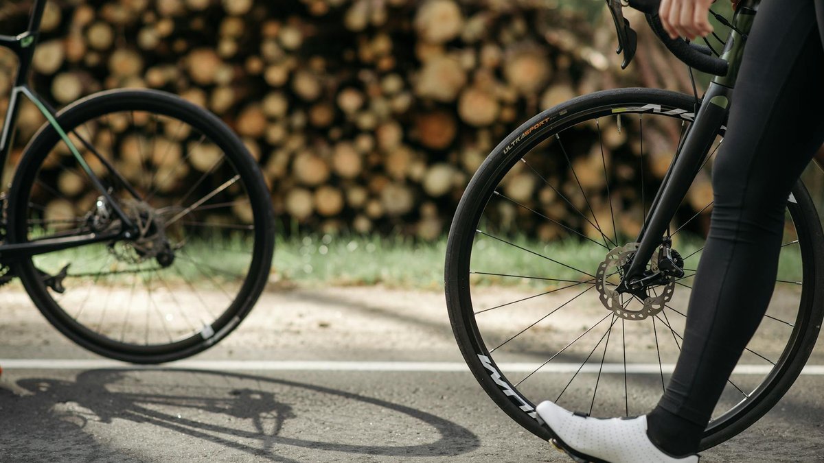 Gros plan sur les roues de vélos de route sur route ensoleillée en forêt