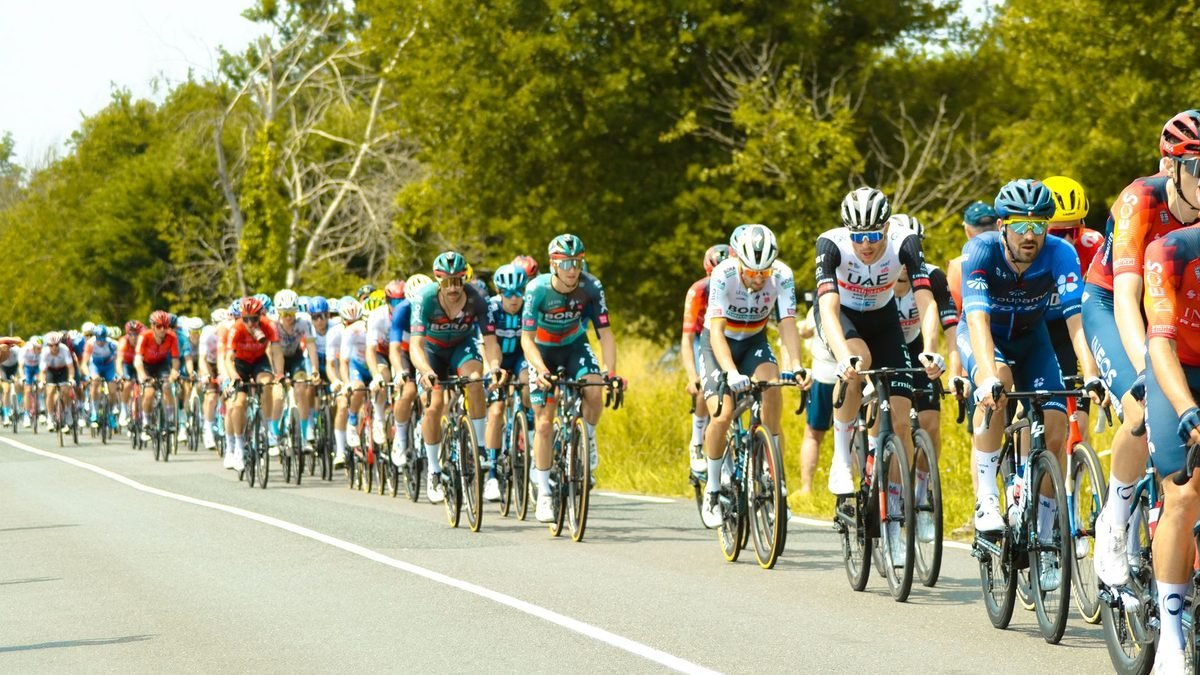 Peloton de coureurs cyclistes roulant en file sur une route bordée d'arbres pendant une course